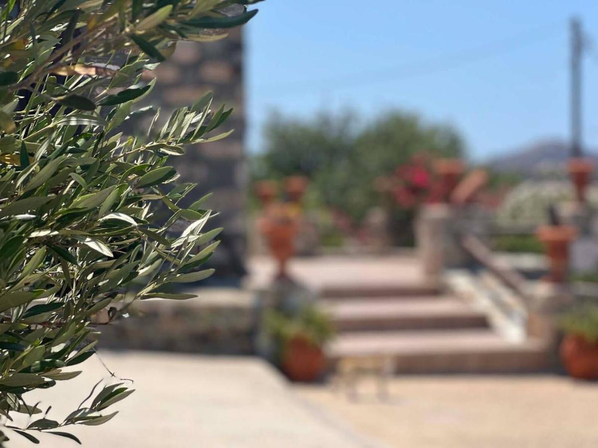 Πέτρινο Εξοχικό Σπίτι Στη Σύρο Agros  Екстер'єр фото